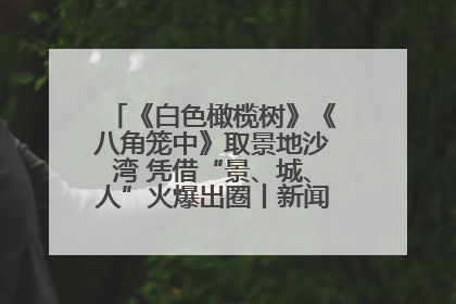 《白色橄榄树》《八角笼中》取景地沙湾 凭借“景、城、人”火爆出圈丨新闻发布最前线