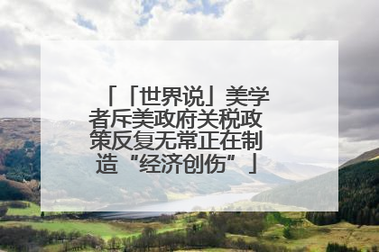 「世界说」美学者斥美政府关税政策反复无常正在制造“经济创伤”