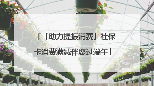 「助力提振消费」社保卡消费满减伴您过端午