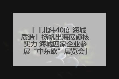 「北纬40度 海城质造」扬帆出海展硬核实力 海城四家企业参展“中东欧”展览会