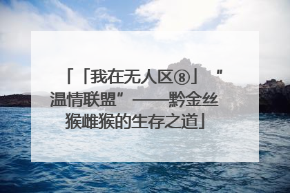 「我在无人区⑧」“温情联盟”——黔金丝猴雌猴的生存之道