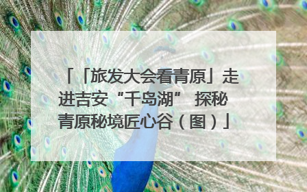 「旅发大会看青原」走进吉安“千岛湖” 探秘青原秘境匠心谷（图）
