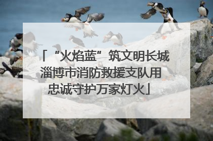“火焰蓝”筑文明长城 淄博市消防救援支队用忠诚守护万家灯火