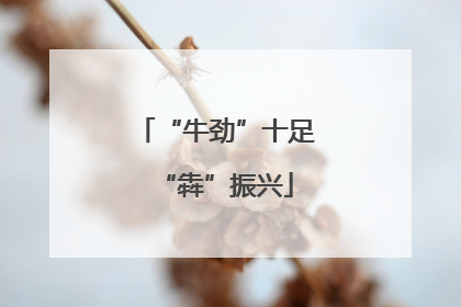 “牛劲”十足“犇”振兴