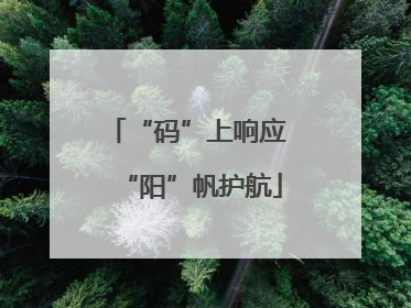 “码”上响应 “阳”帆护航