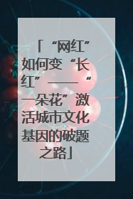 “网红”如何变“长红”——“一朵花”激活城市文化基因的破题之路