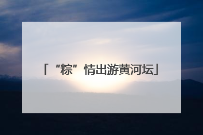 “粽”情出游黄河坛