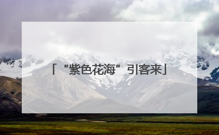 “紫色花海”引客来