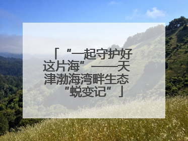 “一起守护好这片海”——天津渤海湾畔生态“蜕变记”