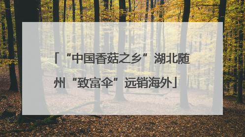 “中国香菇之乡”湖北随州“致富伞”远销海外