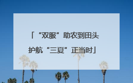 “双服”助农到田头 护航“三夏”正当时