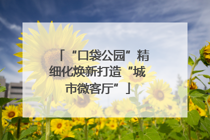 “口袋公园”精细化焕新打造“城市微客厅”