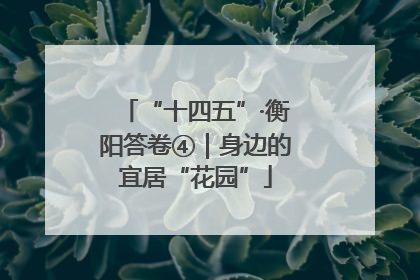 “十四五”·衡阳答卷④｜身边的宜居“花园”