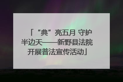 “典”亮五月 守护半边天——新野县法院开展普法宣传活动