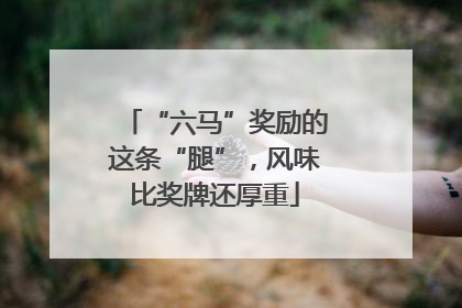 “六马”奖励的这条“腿”，风味比奖牌还厚重