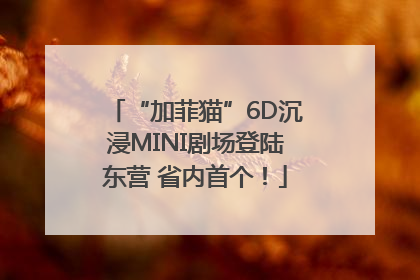 “加菲猫”6D沉浸MINI剧场登陆东营 省内首个！
