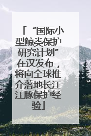 “国际小型鲸类保护研究计划”在汉发布，将向全球推介落地长江江豚保护经验