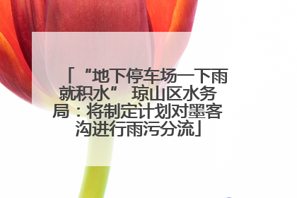 “地下停车场一下雨就积水” 琼山区水务局：将制定计划对墨客沟进行雨污分流