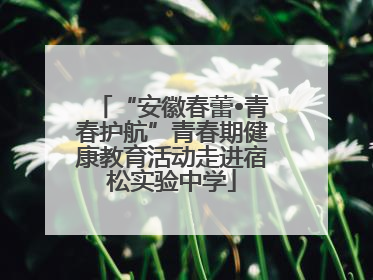 “安徽春蕾•青春护航”青春期健康教育活动走进宿松实验中学