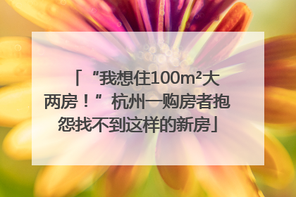 “我想住100m²大两房！”杭州一购房者抱怨找不到这样的新房