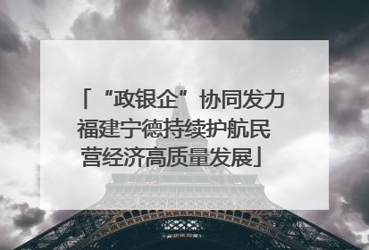 “政银企”协同发力 福建宁德持续护航民营经济高质量发展