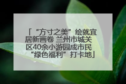 “方寸之美”绘就宜居新画卷 兰州市城关区40余小游园成市民“绿色福利”打卡地
