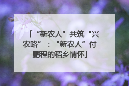 “新农人”共筑“兴农路”：“新农人”付鹏程的稻乡情怀