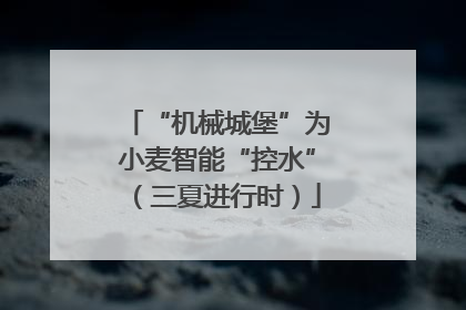 “机械城堡”为小麦智能“控水”（三夏进行时）