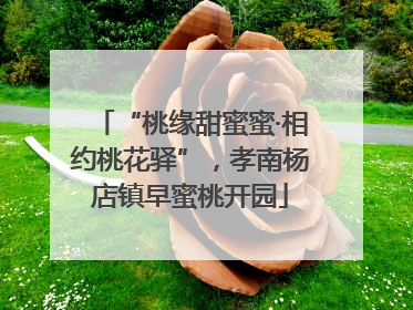 “桃缘甜蜜蜜·相约桃花驿”,孝南杨店镇早蜜桃开园