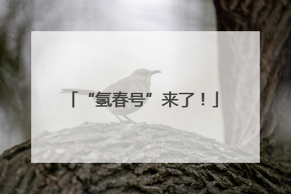 “氢春号”来了！