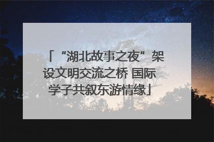 “湖北故事之夜”架设文明交流之桥 国际学子共叙东游情缘