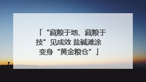“藏粮于地、藏粮于技”见成效 盐碱滩涂变身“黄金粮仓”