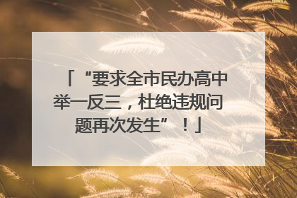 “要求全市民办高中举一反三，杜绝违规问题再次发生”！