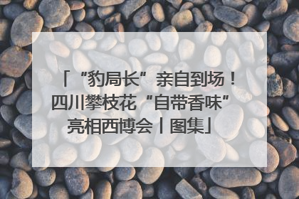 “豹局长”亲自到场！四川攀枝花“自带香味”亮相西博会丨图集