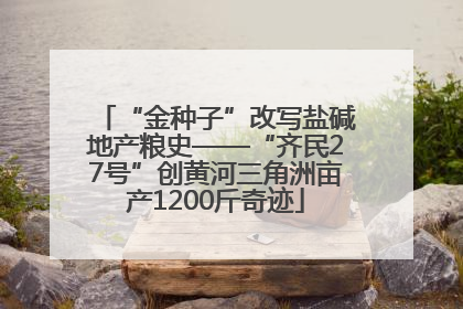 “金种子”改写盐碱地产粮史——“齐民27号”创黄河三角洲亩产1200斤奇迹