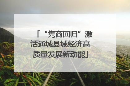 “隽商回归”激活通城县域经济高质量发展新动能