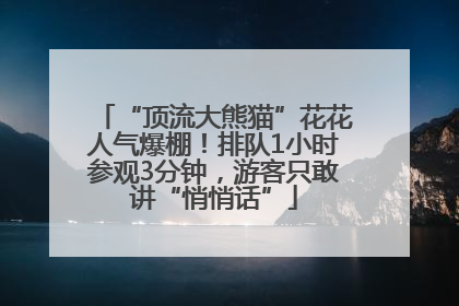 “顶流大熊猫”花花人气爆棚！排队1小时参观3分钟，游客只敢讲“悄悄话”