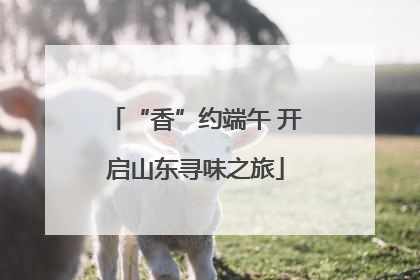 “香”约端午 开启山东寻味之旅