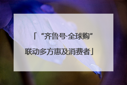 “齐鲁号·全球购”联动多方惠及消费者