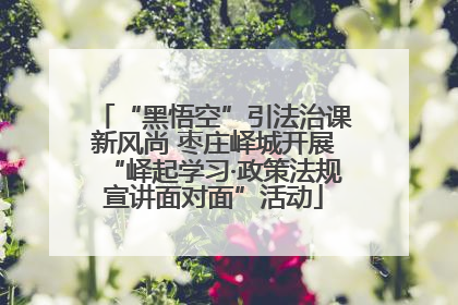 “黑悟空”引法治课新风尚 枣庄峄城开展“峄起学习·政策法规宣讲面对面”活动