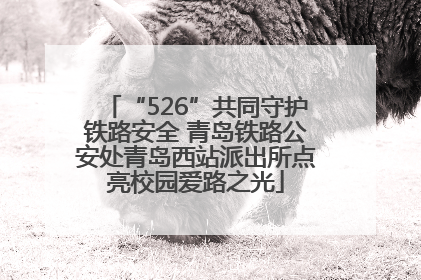 “526”共同守护铁路安全 青岛铁路公安处青岛西站派出所点亮校园爱路之光