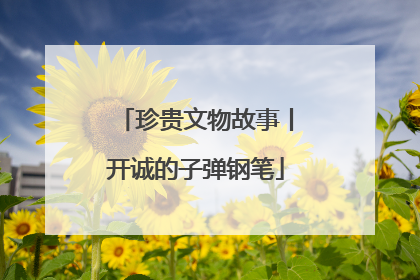 珍贵文物故事丨开诚的子弹钢笔