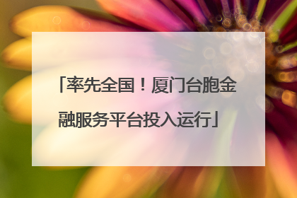 率先全国！厦门台胞金融服务平台投入运行