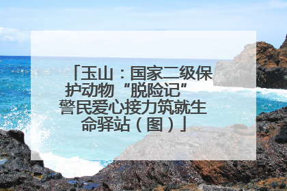 玉山：国家二级保护动物“脱险记” 警民爱心接力筑就生命驿站（图）