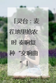 灵台：麦茬地里抢农时 奏响复种“交响曲”