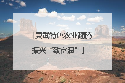 灵武特色农业翻腾振兴“致富浪”