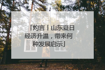 灼言丨山东夏日经济升温，带来何种发展启示