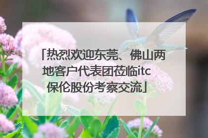 热烈欢迎东莞、佛山两地客户代表团莅临itc保伦股份考察交流