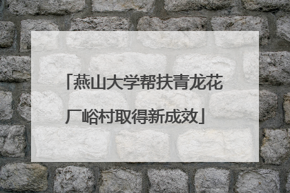 燕山大学帮扶青龙花厂峪村取得新成效