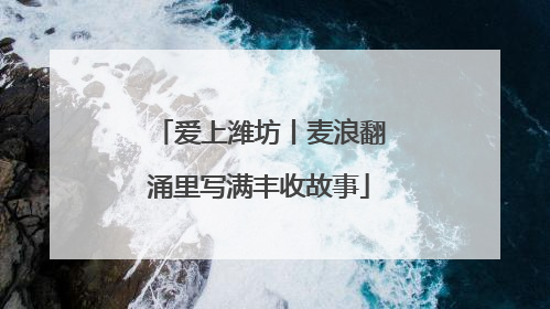爱上潍坊丨麦浪翻涌里写满丰收故事